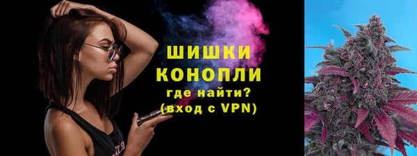 дмт Алзамай