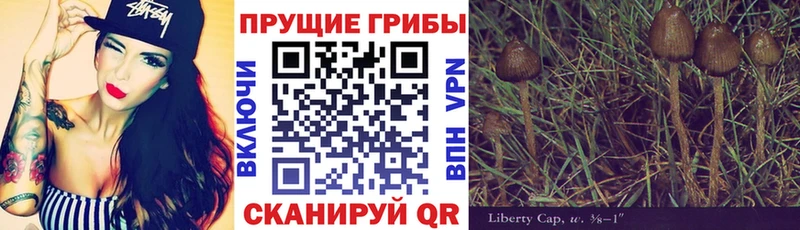 Галлюциногенные грибы Psilocybe  где купить наркоту  Арск 